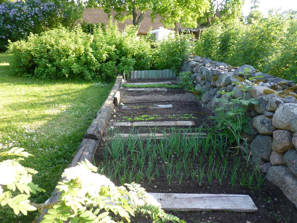 Jurna Recreation Farm Villa Upa Eksteriør bilde